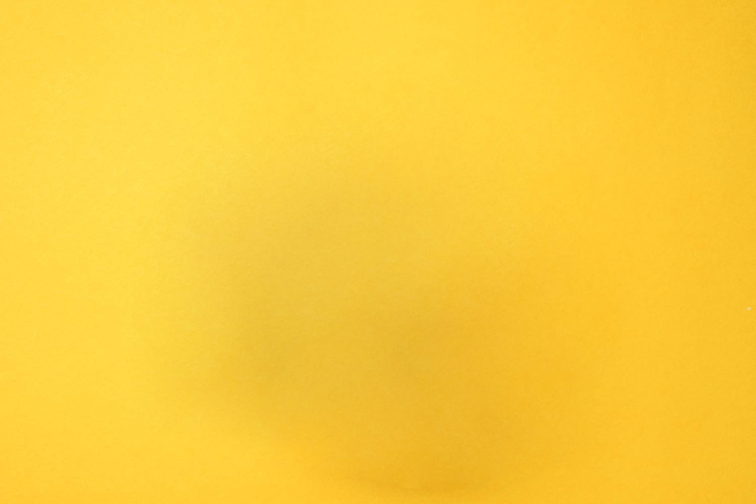 r460-hi.jpg