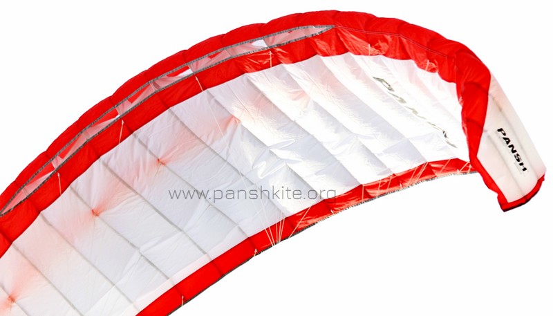 Pansh Ace для уверенных в себе новичков