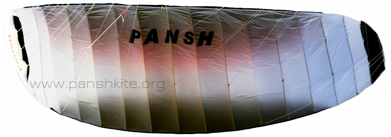 Pansh Legend твой  первый