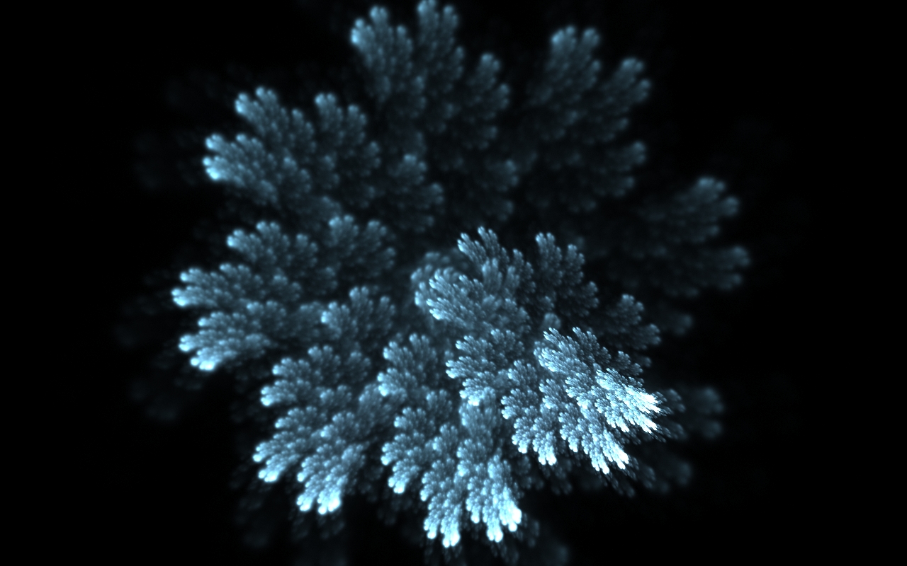 206-00065-1280x800.jpg