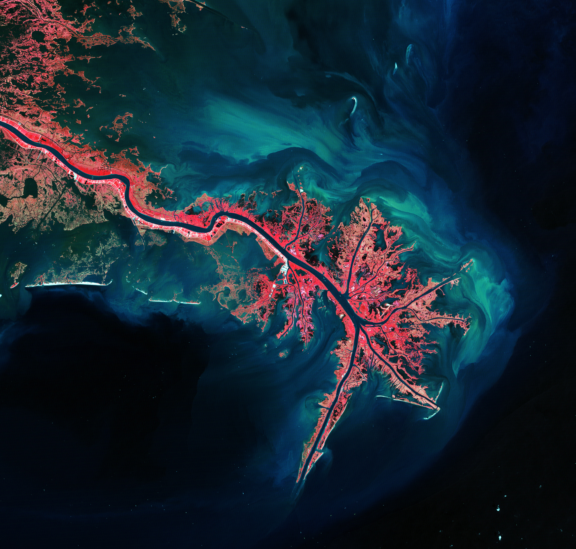 238-mississippiriverdelta.jpg