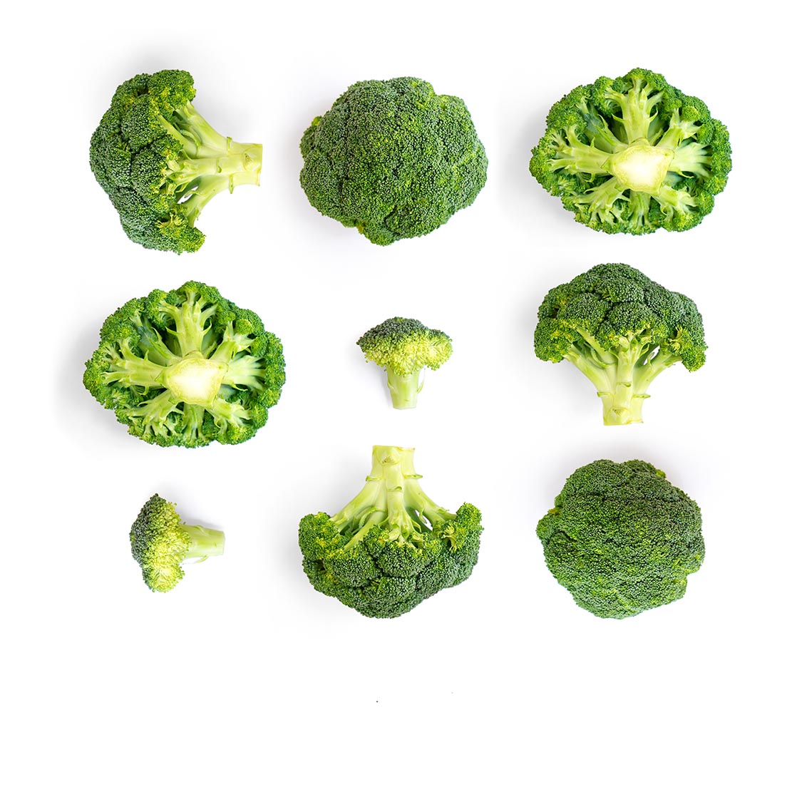 924-shutterstock662013406-0.jpg