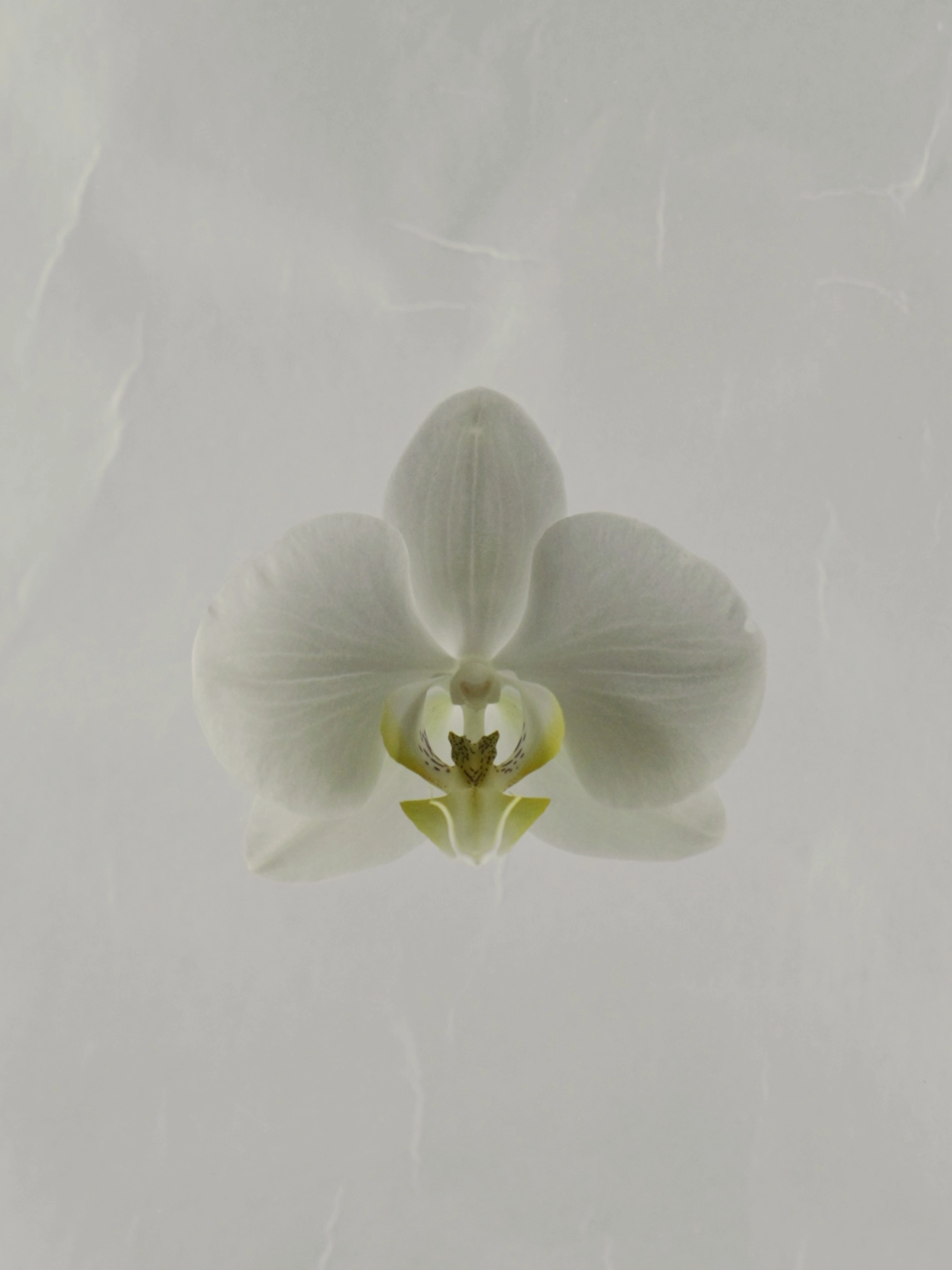 300-img7795-17540329531706.png
