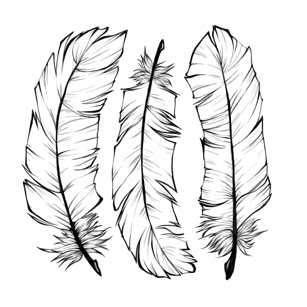 Feathers