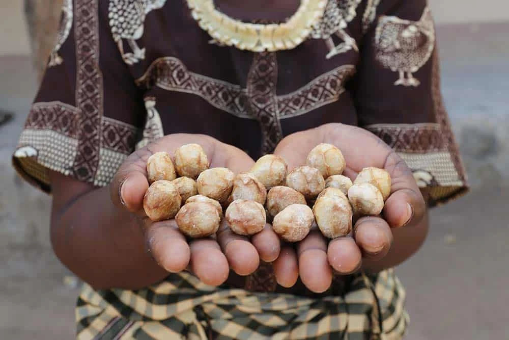 37-abies-ads-50-marula-fruit-17511500925983.jpg