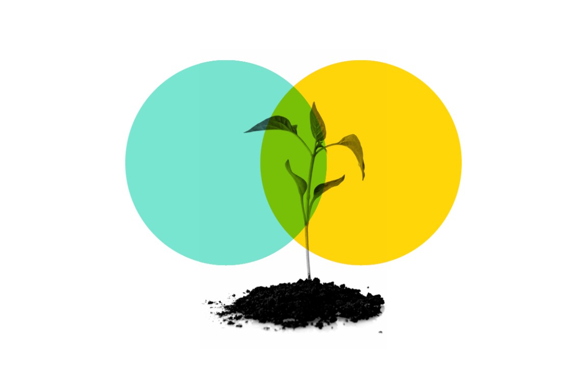 From What If to What’s Now