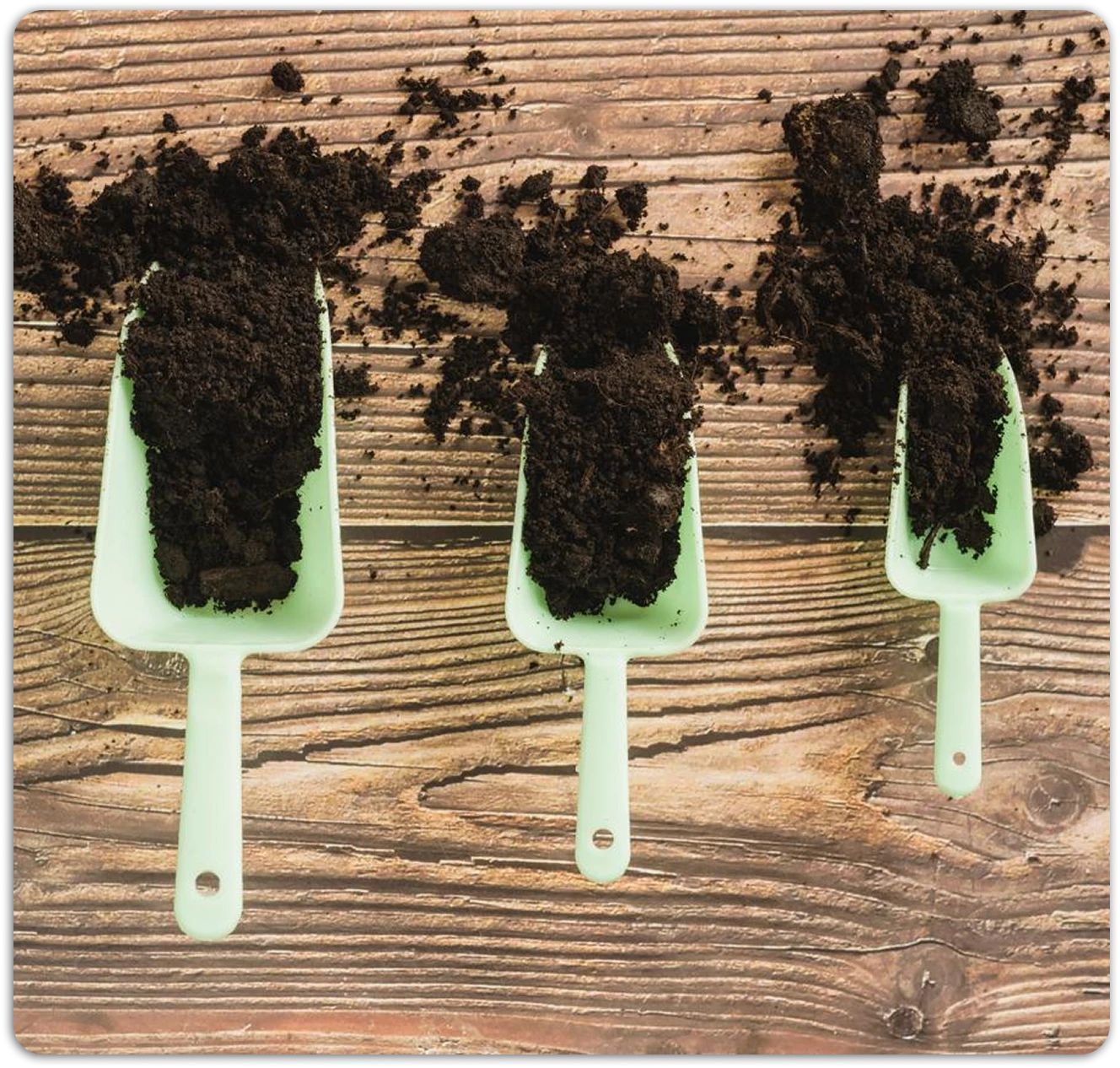 Հողի ախտահանում