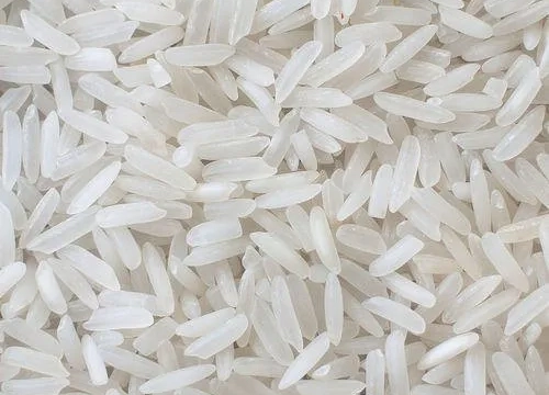 0705003601013-medium-grain-raw-rice-500x500-1725519169862.png