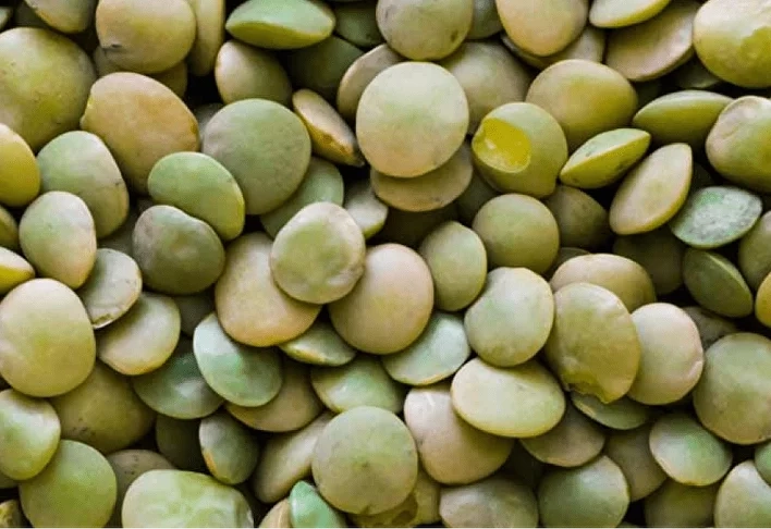 935-greenlentils-min-2-17255086624014.png