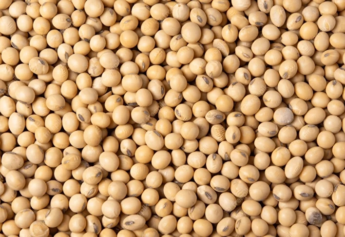 955-soybean-min-2-17255161676911.png