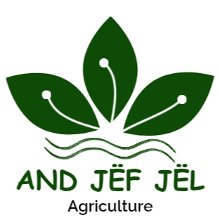 415-ajja-logo---and-jef-jel20250223-17497317471196.png