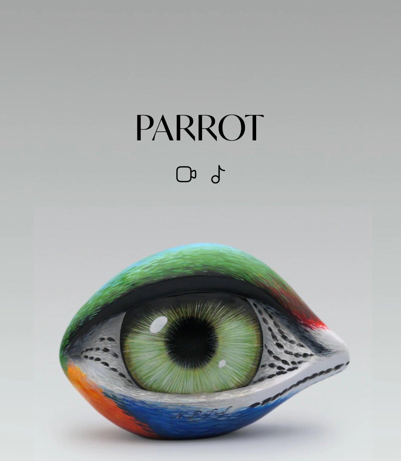 21148-parrot-17218172551576.jpg