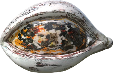 49225-xromosom-1774252688857.png