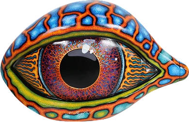 50065-the-mandarin-fish-1774252066608.png