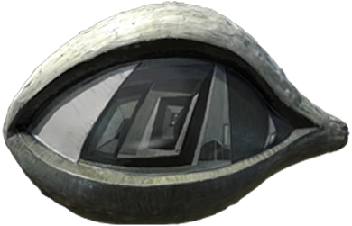 52002-reflection-of-the-observer-17742506167396.png