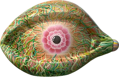 52273-forest-vision-17742554253009.png