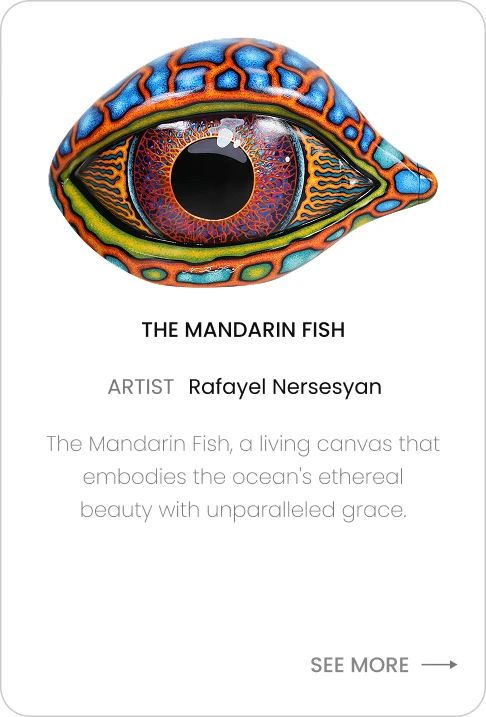 52608-the-mandarin-fish-17726924616805.png