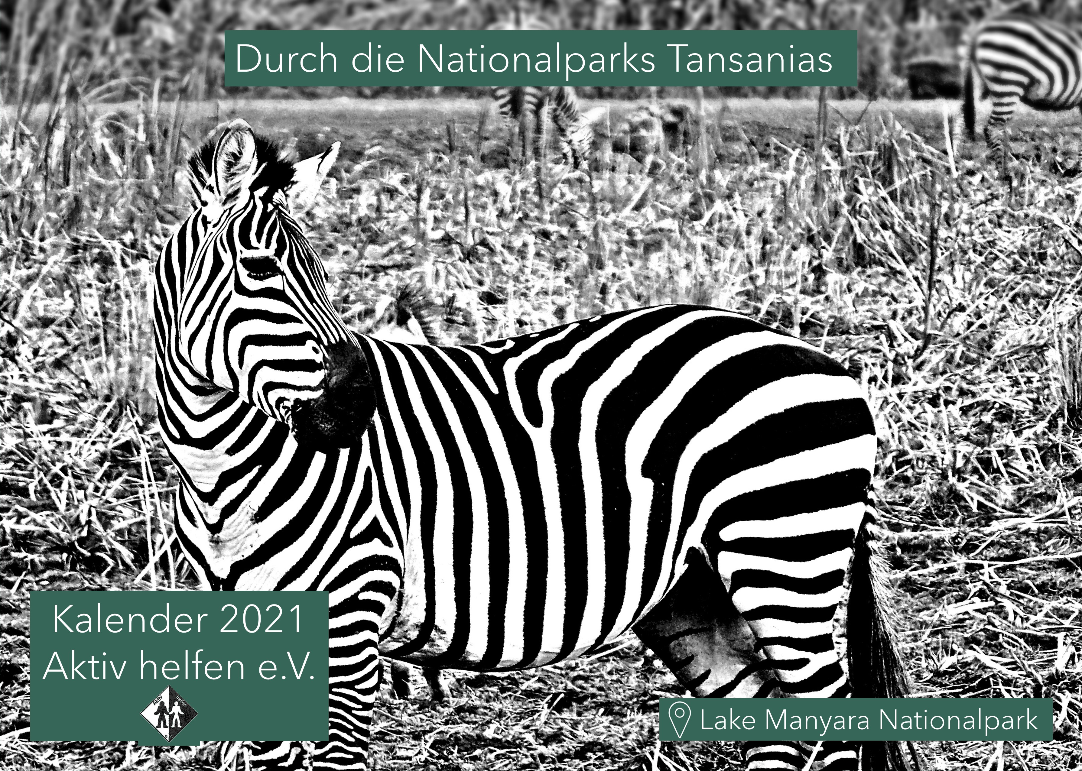 0035792551354-01-titel-16138655814125.jpg