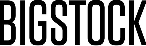 43487155187-bigstocklogo.jpg