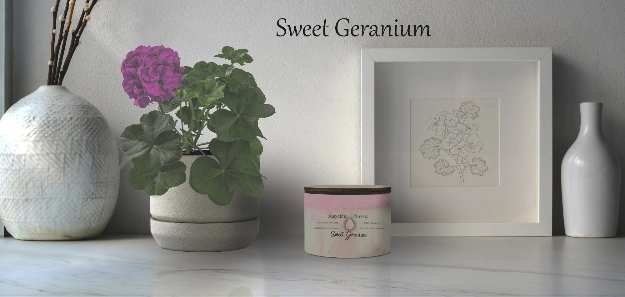 766-sweet-geranium-product-promo-photo-pink-flower-16761374454911.jpg