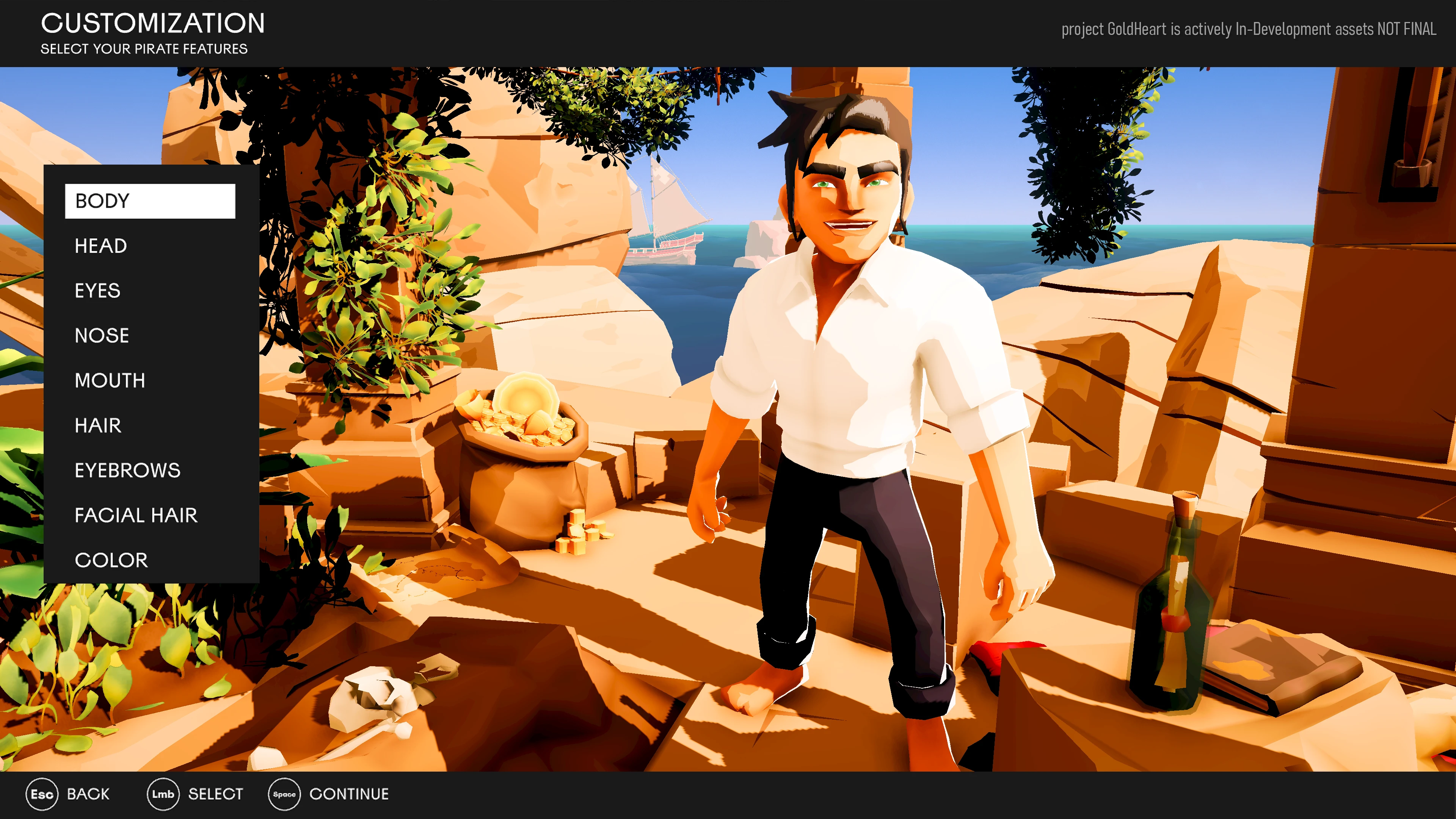 Pirate Customization
