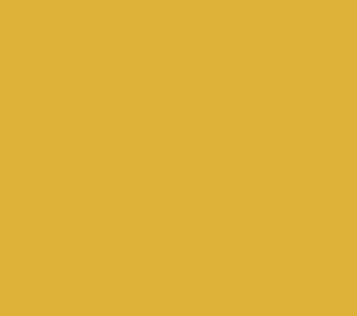 1720140212401365-lemon.png