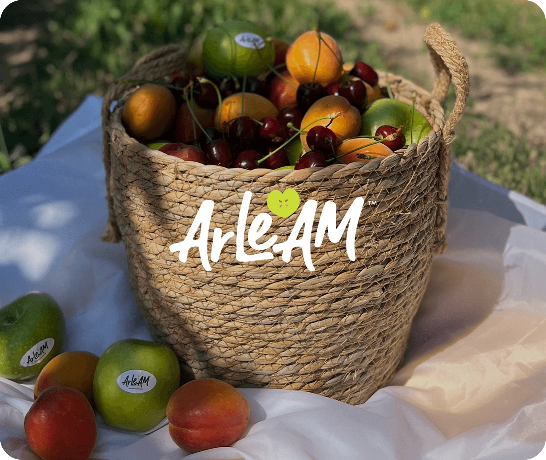 ArLeAM Fruits Bag
