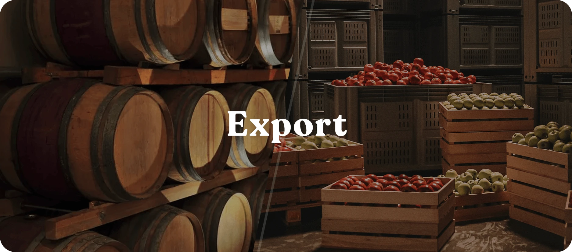 Fruits and Beverages Export