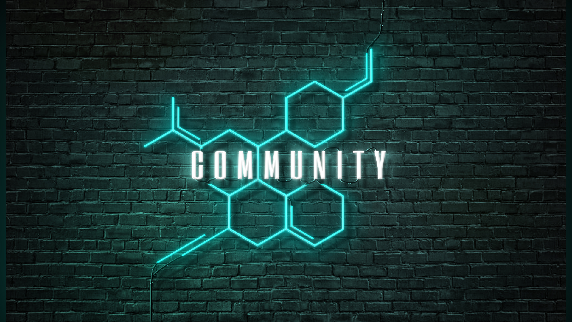 120-community-1.jpg