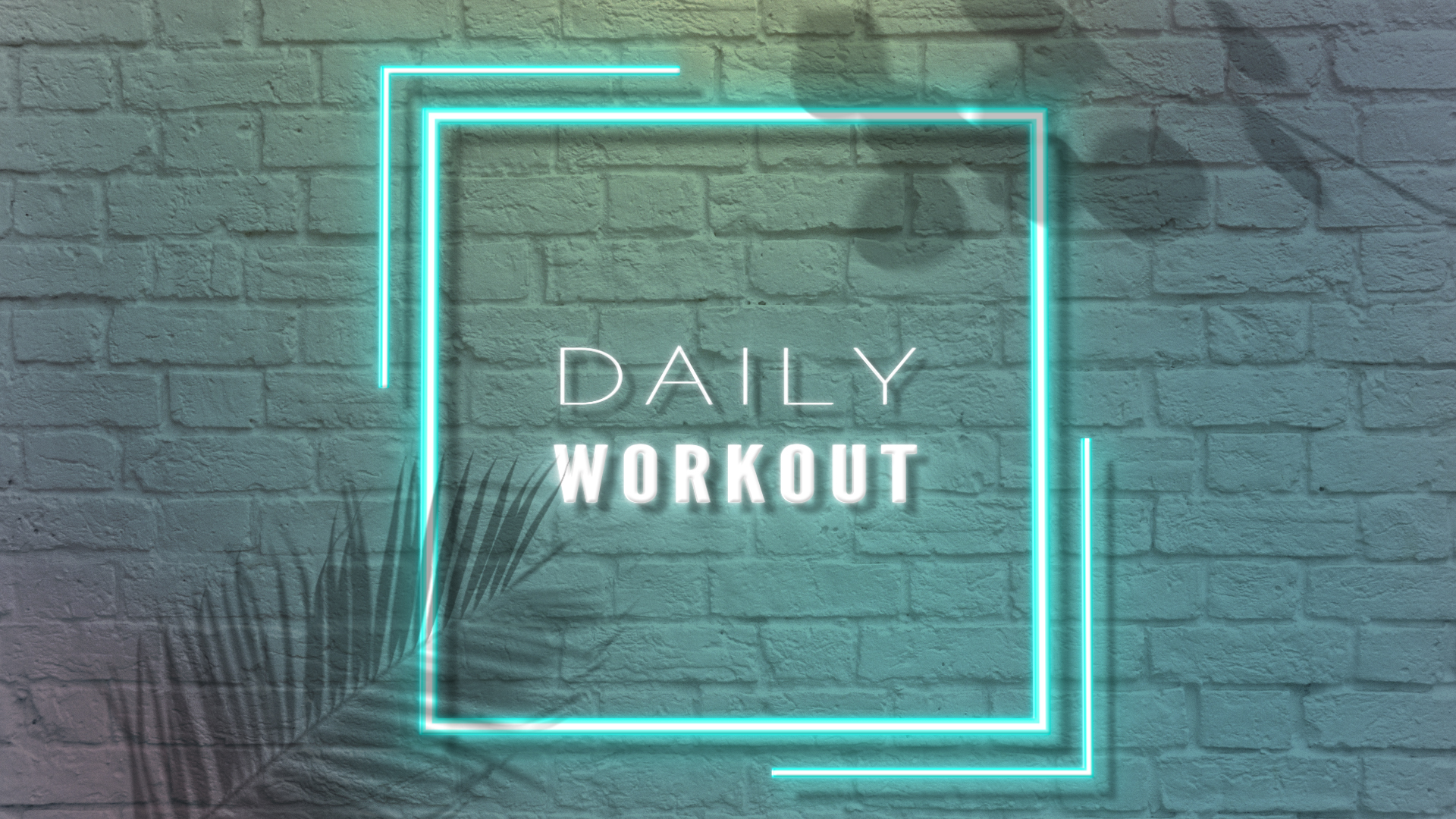 213-daily-workout-2.jpg