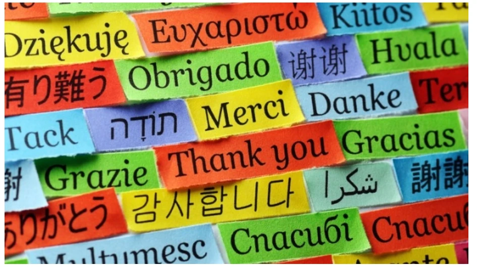 15 հետաքրքիր փաստ լեզուների մասին