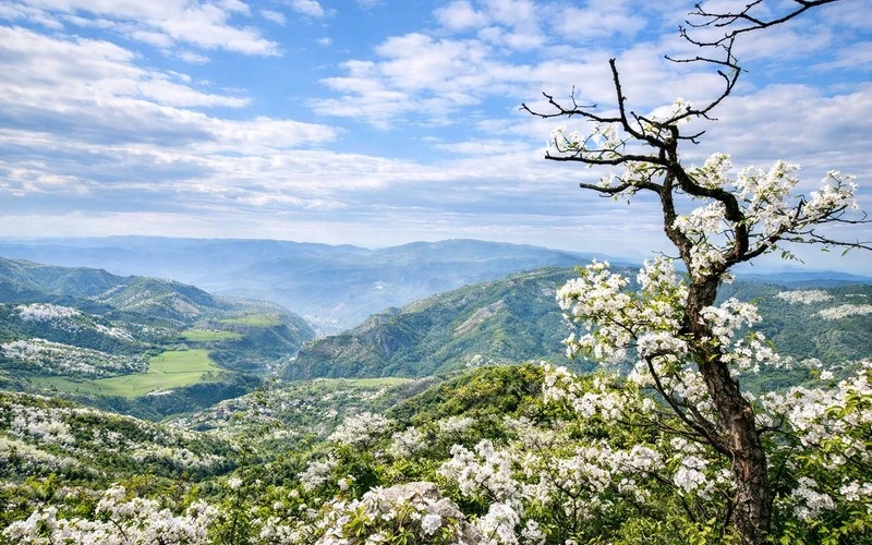 Երկրի օրը․ 5 գիրք բնության մասին