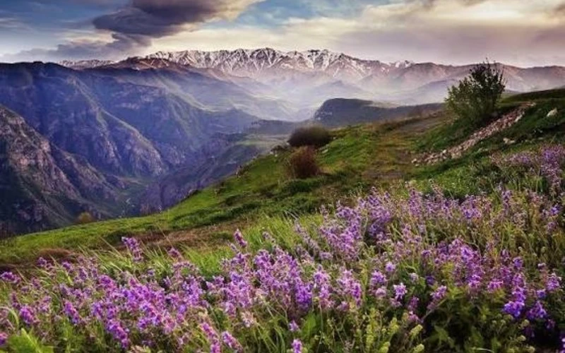 Կենսաբազմազանությունը հայկական ավանդություններում