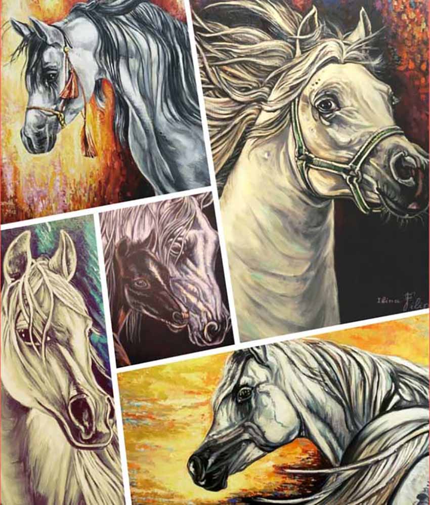 333-horse-collageii.jpg