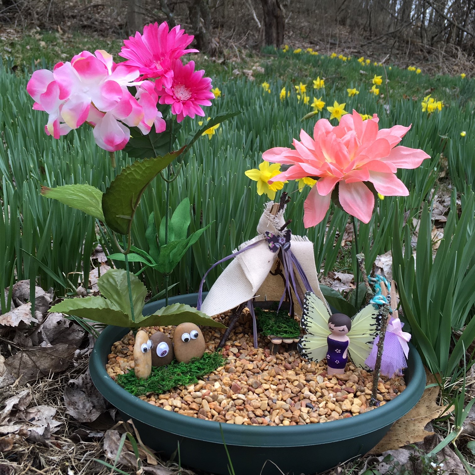 Fairy Gardens