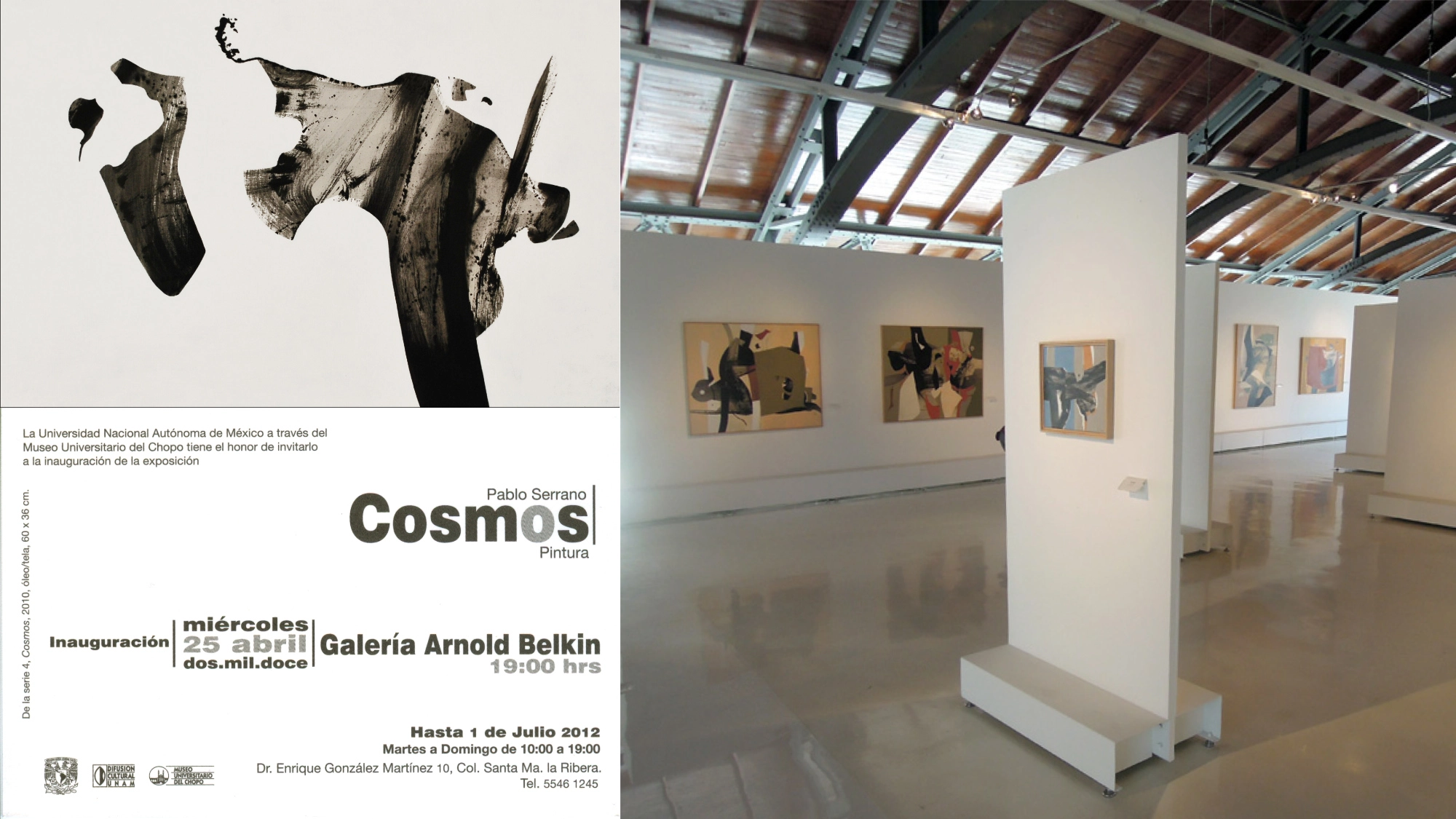 702-cosmosexhibition-17811139511626.jpg