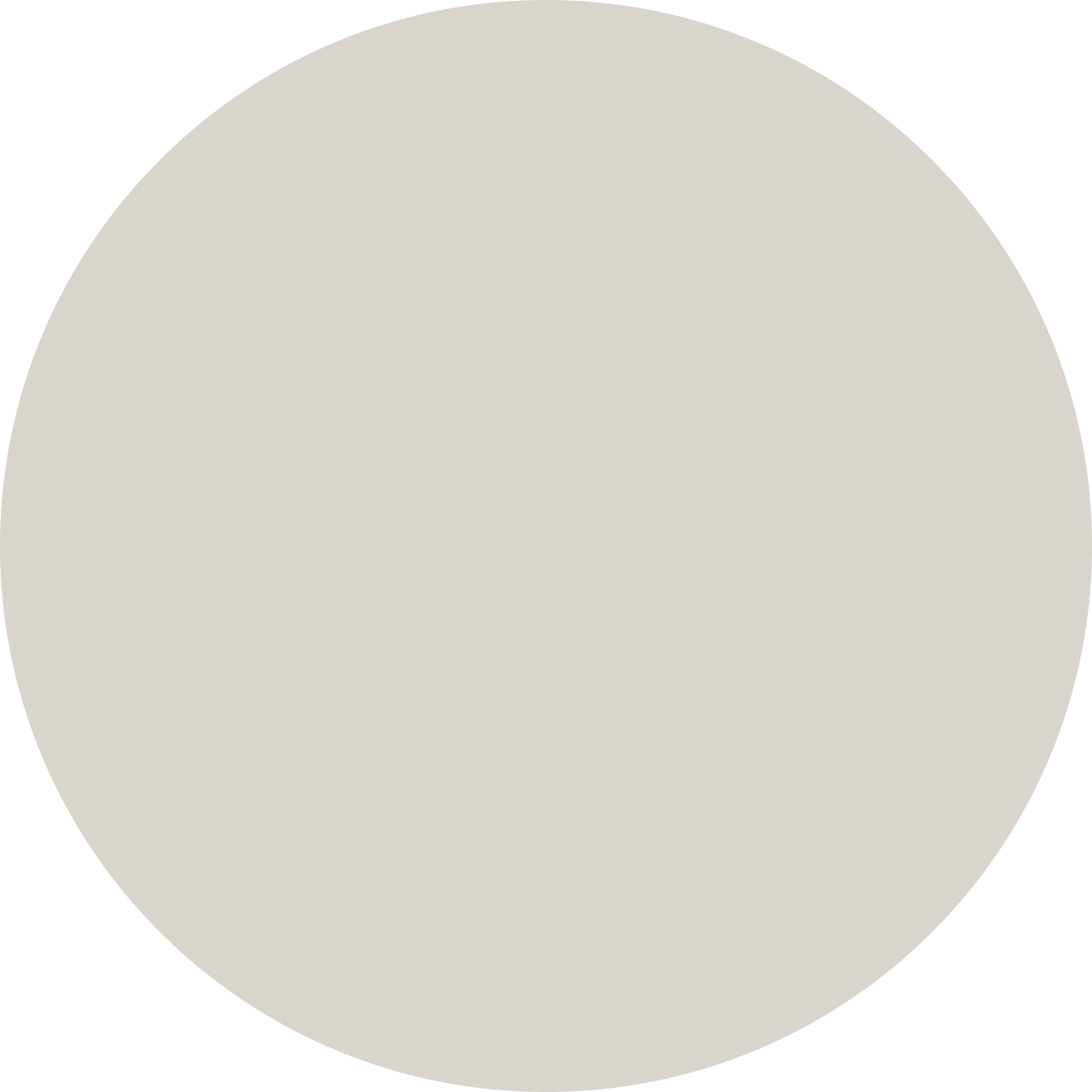 650-ellipse-55-1.png