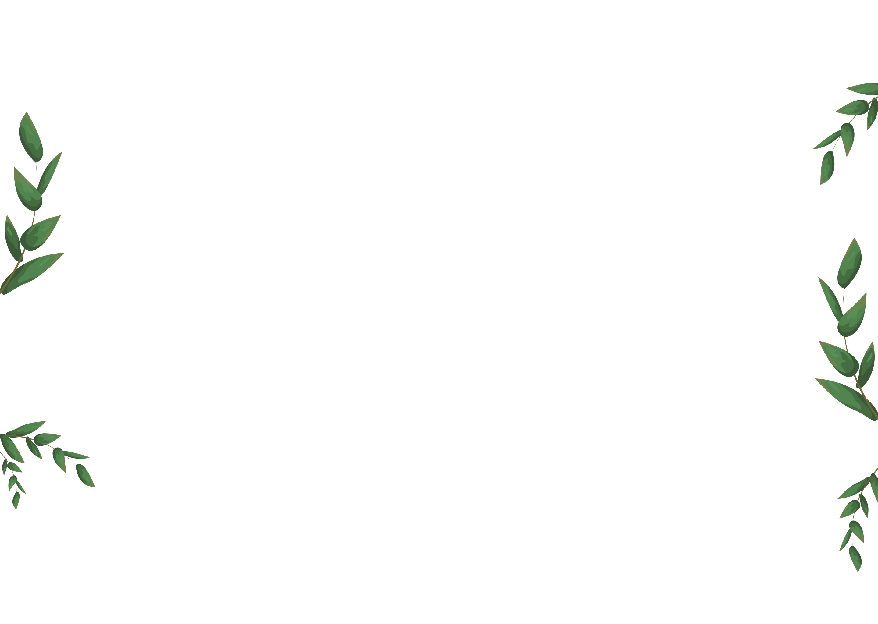 r199-desktop---7-1.png