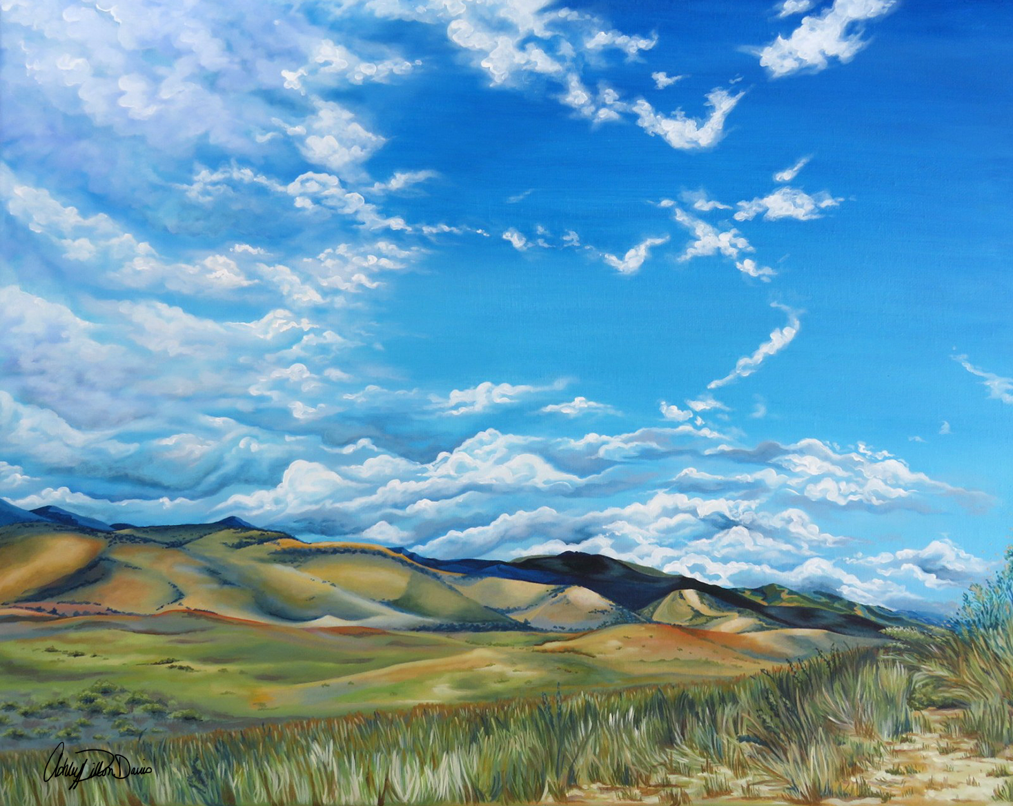107-landscape-2.png
