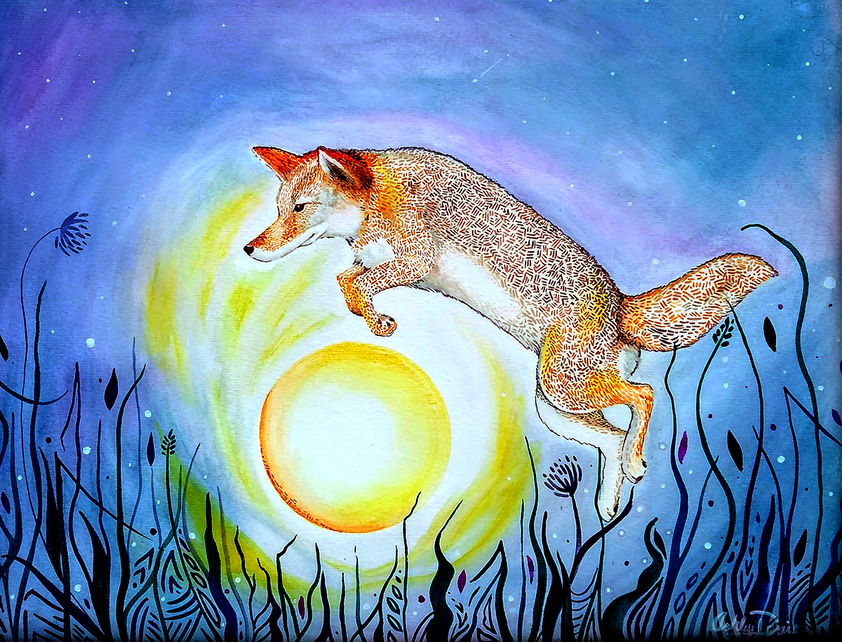 117-coyote-yip-16171241004317.png
