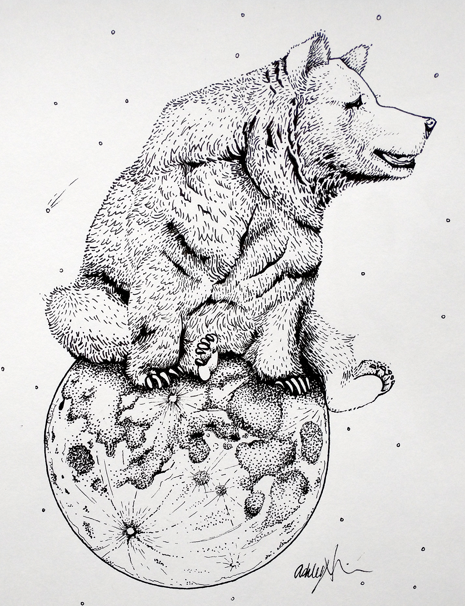 137-moon-bear.png