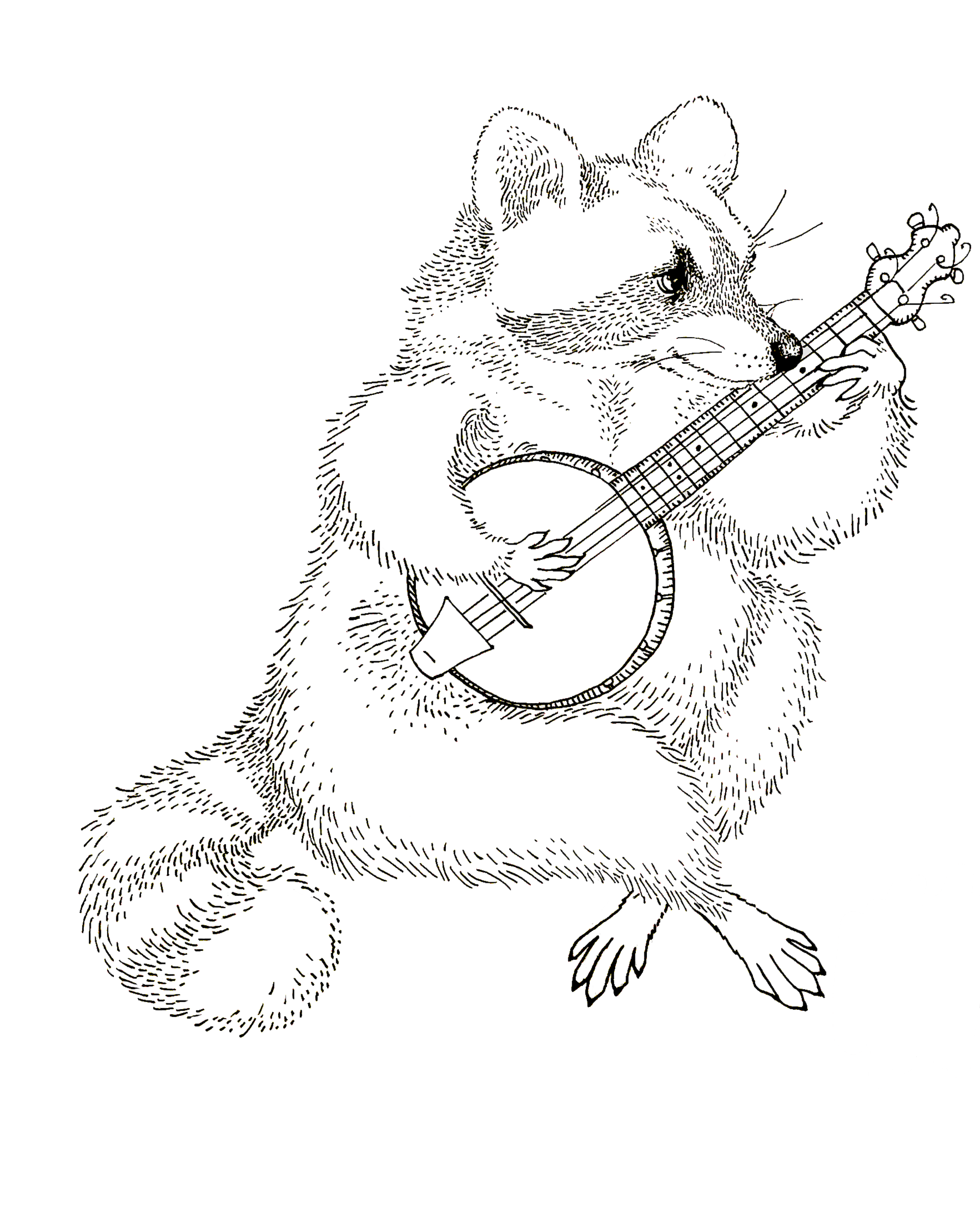 137-mrraccoonbw.png