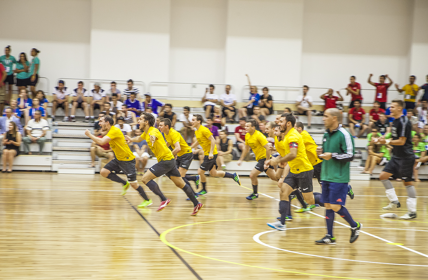 601-img8192small.jpg