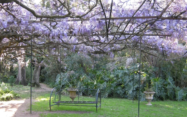 3290-04-jardin-1-17141908434175.png