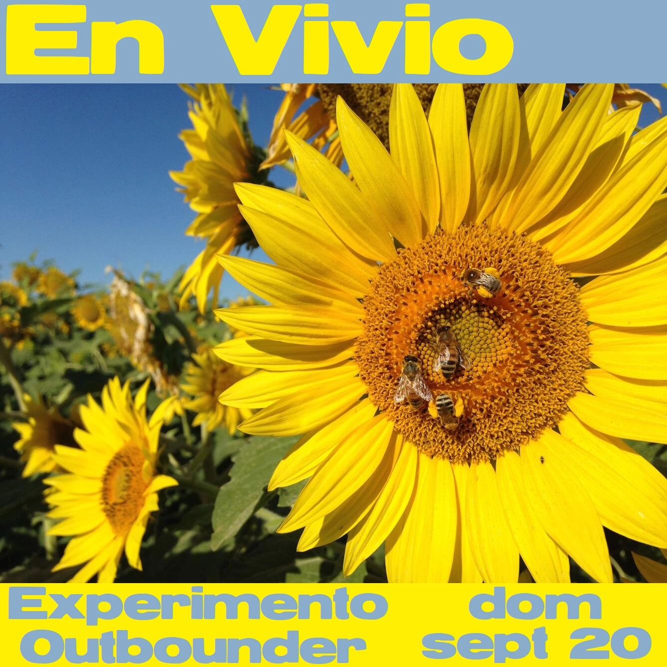 3817-ykum-23b4-17877078561206.jpg