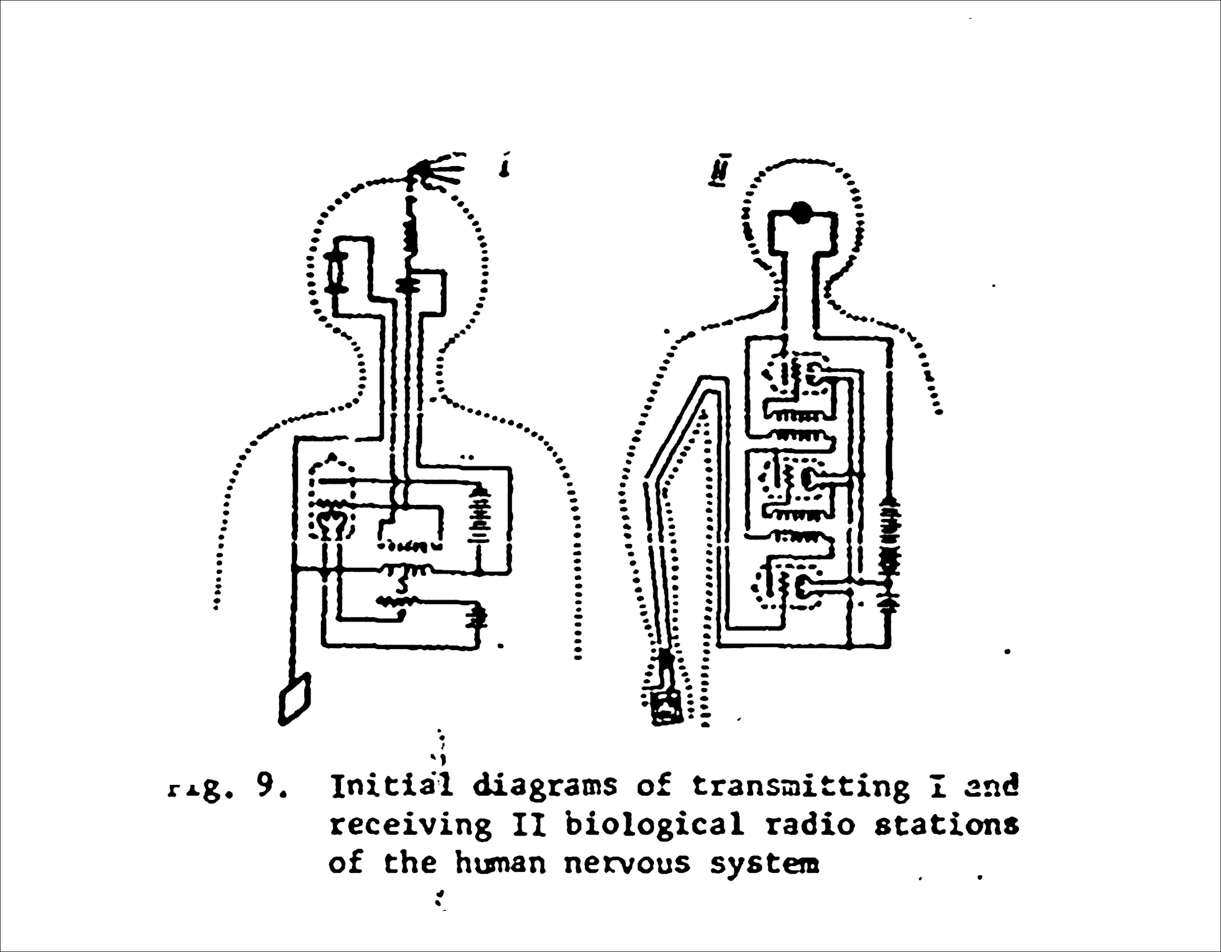 6594-03-031e94de455c01eaf0human-nervous-system-copy---kutt-1762834229954.jpg