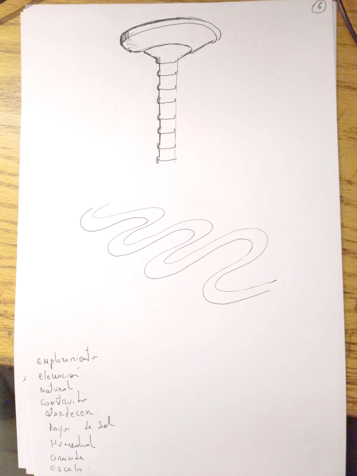 6795-06-17880370564818.jpeg