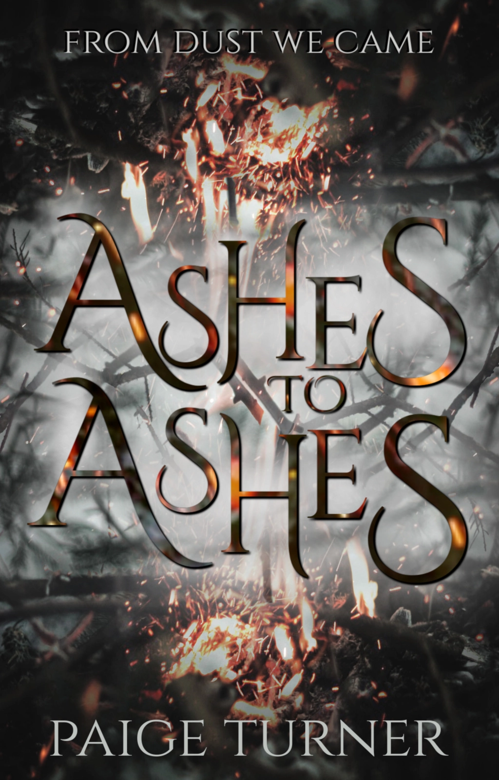 617-ashes-to-ashes-cover-2.jpg