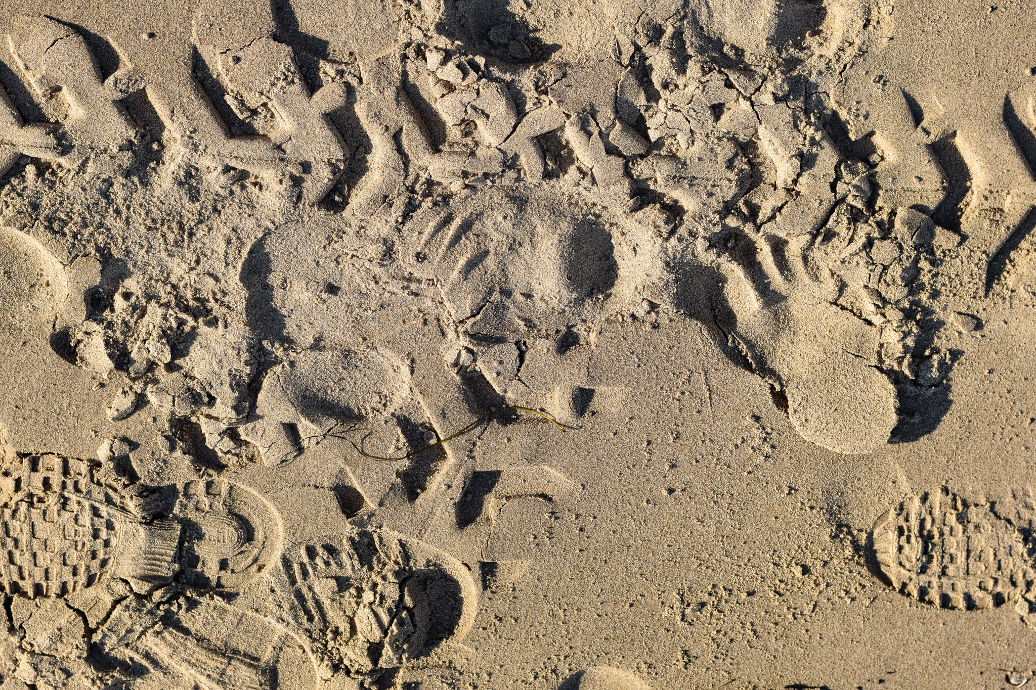 88-imprinted-sands.jpg