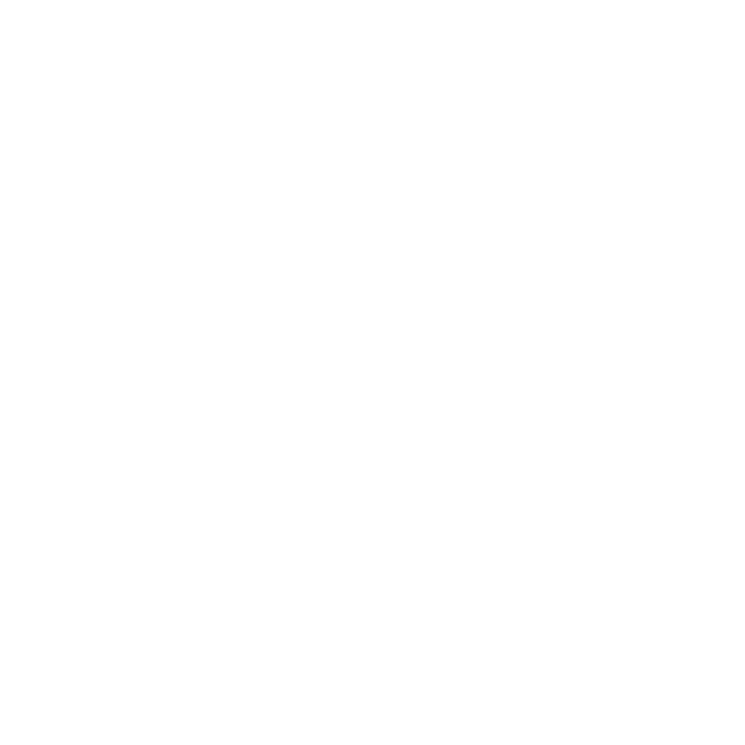 6575-spacexlogo.png